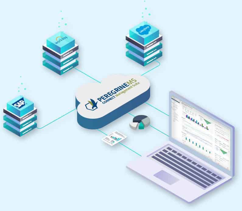 ms-infographic management suite infographic