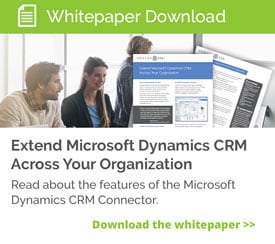 dynamics white paper