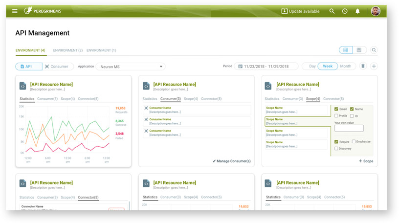 ds-api-management api management