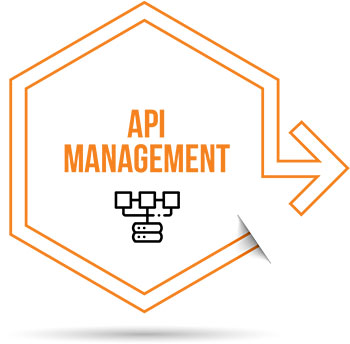 agile-digi-biz-api icon - api management