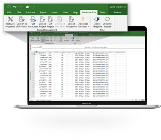 Netsuite PSA Projects with MS Project