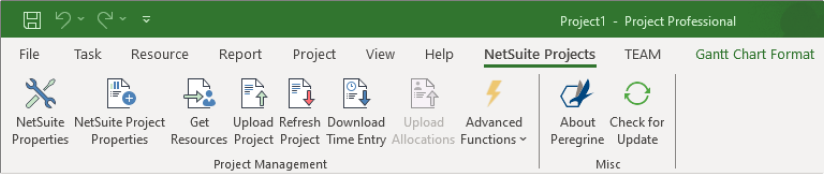 NetSuitePSAAddIn-Ribbon-1